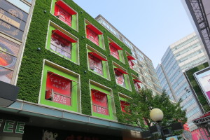 Trees and green facades help reduce ambient temperatures during the summer. (Chongbang)